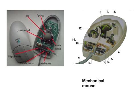 Computer Mouse Diagram 的图像结果