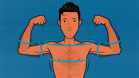 Image result for How We Build Muscle