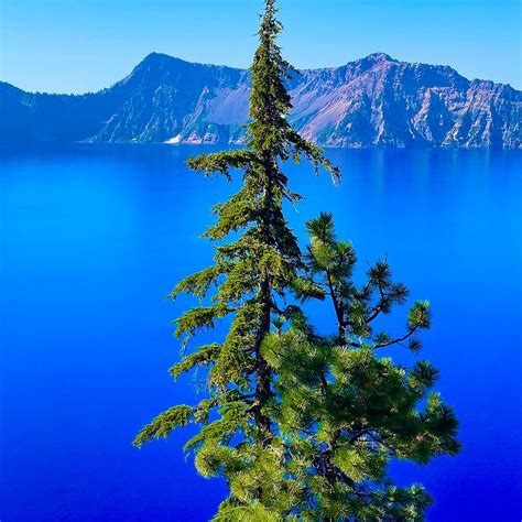 CRATER LAKE LODGE (Crater Lake National Park) - Inn Reviews & Photos ...