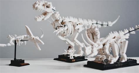 Image result for TypeScript Inheritance Example