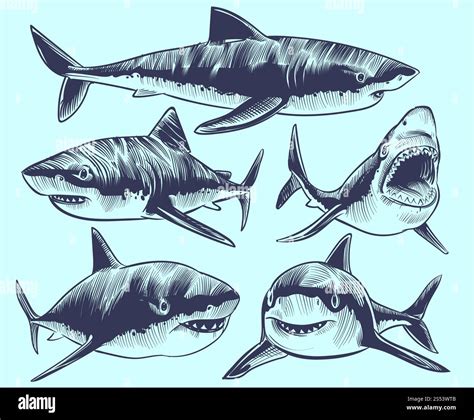 Powerful mouth hi-res stock photography and images - Alamy
