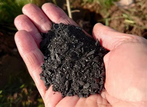 Agriculture Biochar - 25 Kg Organic Biochar Fertilizer Service Provider ...