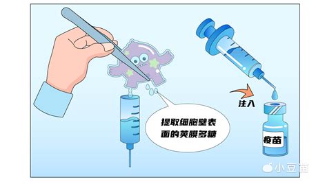四价流感病毒裂解疫苗（7.5μg/亚型/0.25ml/支） - 说明书和标签-公示信息 - 华兰生物疫苗股份有限公司