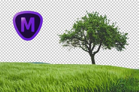 Topaz Mask Tutorial 的图像结果