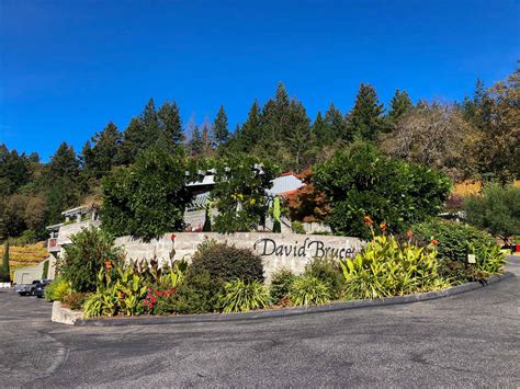 David Bruce Winery – Roadside Secrets