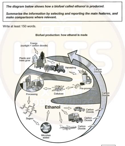 Biofuel Process 的图像结果