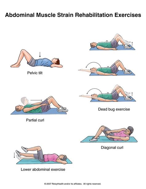 Image result for Lower Back Muscle Strain Exercises