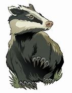 Image result for badger 獾子