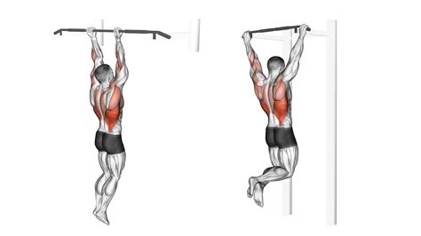 6 Best Vertical Pull Exercises (with Pictures!) - Inspire US