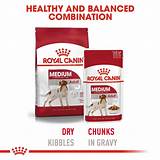 Medium Adult | Royal Canin IN