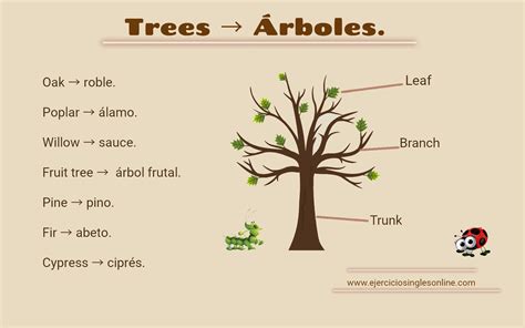 Árboles en inglés - Ejercicios inglés online