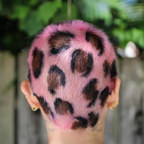 Mosaic Hair Studio Ivanhoe on Instagram: "Unleash your Wild Side 🐆 Pink ...