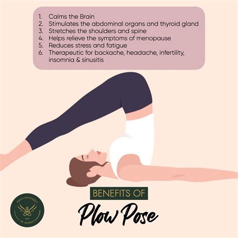 Benefits Of Plow Pose Yoga at Hannah Bowersox blog