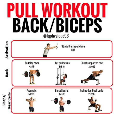 Back And Bicep Workout For Hypertrophy at Petra Webster blog