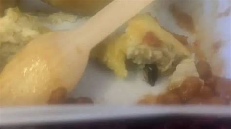 Cockroach inside omelette served on Air India flight; two-year-old girl ...
