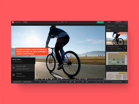 Visual Annotation Tool 的图像结果