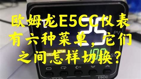 Sample Program E5cc with VB 的图像结果
