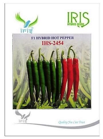 Buy F1 Hybrid Hot Pepper (Chilli) Ihs-2454 | BigHaat