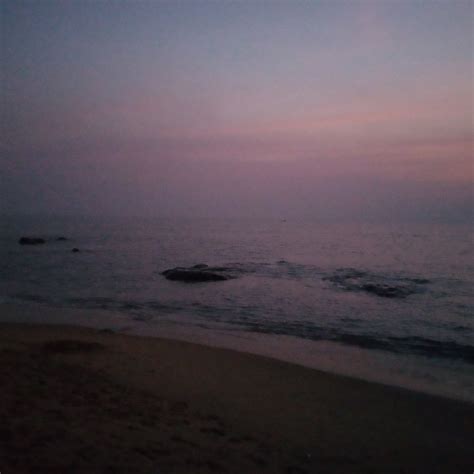 ATHITHI BEACH HOUSE (Kozhikode, Kerala) - Cottage Reviews & Photos ...