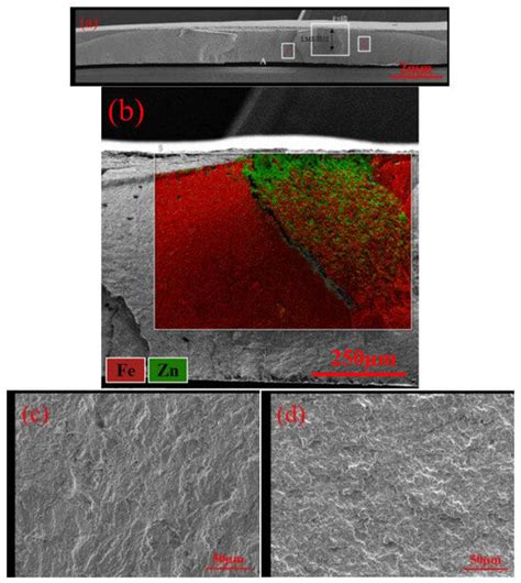 Research on the Influence of Liquid Metal Embrittlement Cracks on the ...