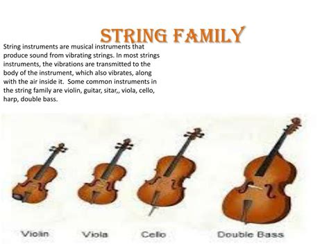 Image result for String Family Instruments