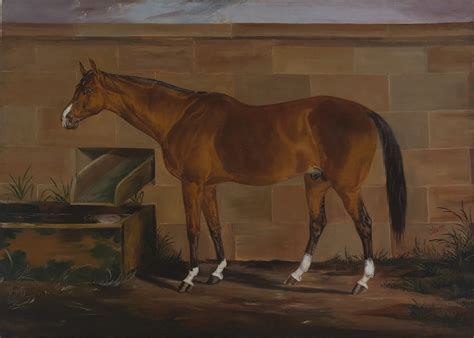 The Lost Story of Lexington, the Record-Breaking Thoroughbred, Races Back to Life