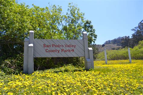 Discover the Beauty of San Pedro Valley Park