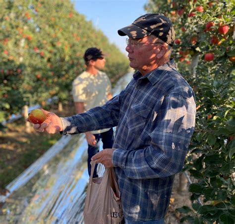 Autumn Glory Apple Off to Record-Shattering Start - Superfresh Growers