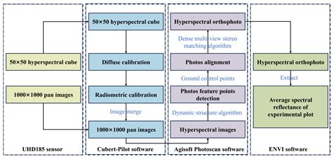 Early Yield Prediction of Oilseed Rape Using UAV-Based Hyperspectral ...