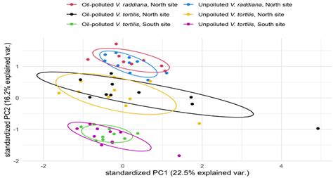 Oil Pollution Affects the Central Metabolism of Keystone Vachellia ...