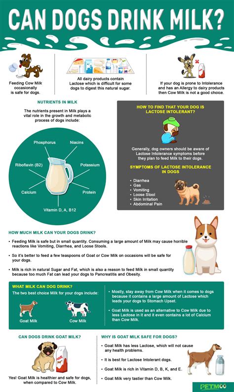Can I Give Cow Milk To Puppies