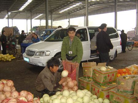 河南商丘数千吨蔬菜运不出去，上海企业来爱心助农，今天首批青杂三号大白菜在沪上市_集镇_采购部