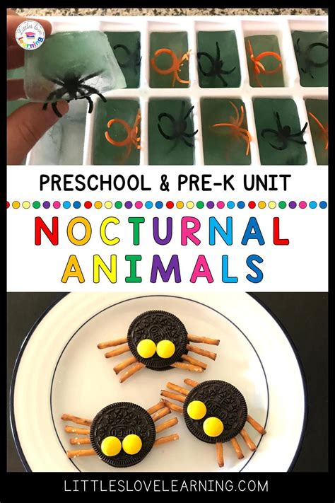 The best activities to go along with chrysanthemum preschool – Artofit