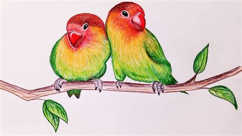 Image result for How to Draw Simple Parrot