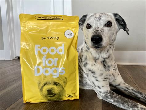 Sundays for Dogs Dog Food Beef Recipe Review 2026: A Human-Grade Option ...