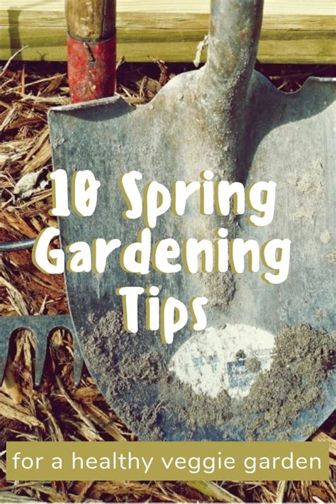 Image result for Spring Gardening Tips
