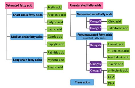 Common Names Of Saturated Fatty Acids at William Christy blog
