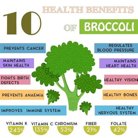 Health Benefits Of Black Broccoli at Hayley Stokes blog