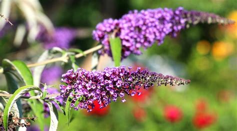 Image result for WinCC Project Examples