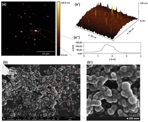 Cholesterol-Inulin Conjugates for Efficient SN38 Nuclear Delivery ...