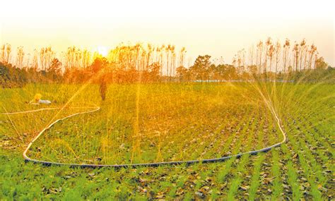 广西全州：供电部门解决农田灌溉用电 为群众减损20万元_腾讯新闻