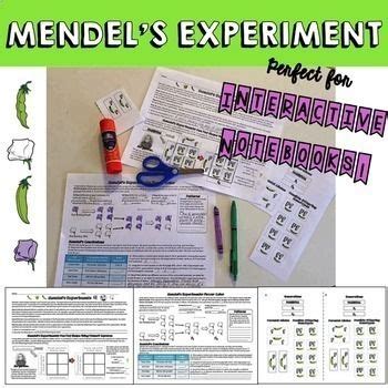 Genetics Bundle | Life science middle school, Life science lessons ...