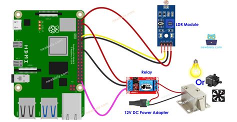Image result for Light Sensor How to Setup in Raspberry Pi