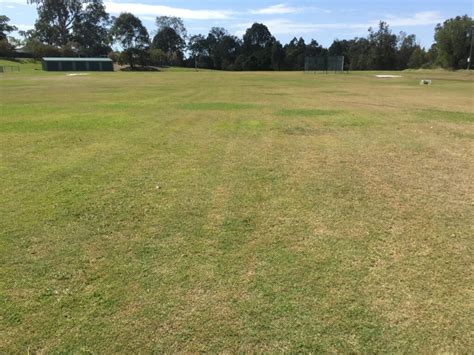 Sportsfield 的图像结果