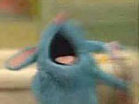 Image result for Tutter Mouse