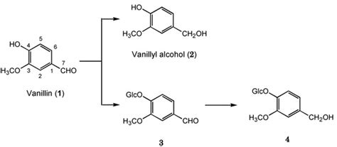 Glycosylation of Vanillin and 8-Nordihydrocapsaicin by Cultured ...