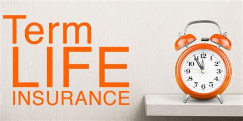 Define Term Life Insurance 的图像结果