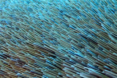 Texture Photographers Low Resolution 的图像结果