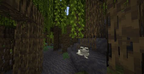 Image result for Lime Fish Swamp Biome Minecraft