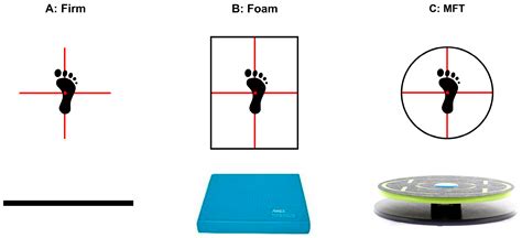 Leg Dominance—Surface Stability Interaction: Effects on Postural ...